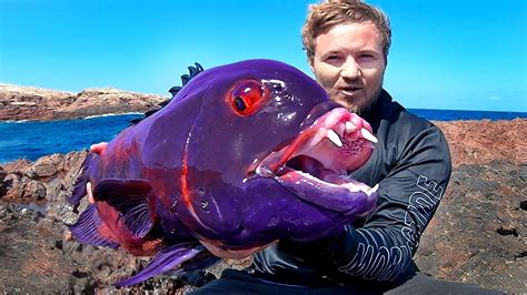 Most Unbelievable Fish Catches Youtube
