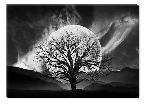 Inspirational Art Black And White Big Moon And Old Tree Canvas Wall Art