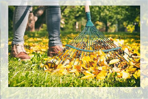How To Rake The Lawn 6 Superb Benefits You Will Get By Raking All