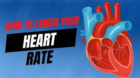 How To Lower Your Heart Rate Youtube