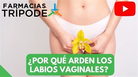 Vaginitis Por Qu Arden Los Labios Vaginales Youtube