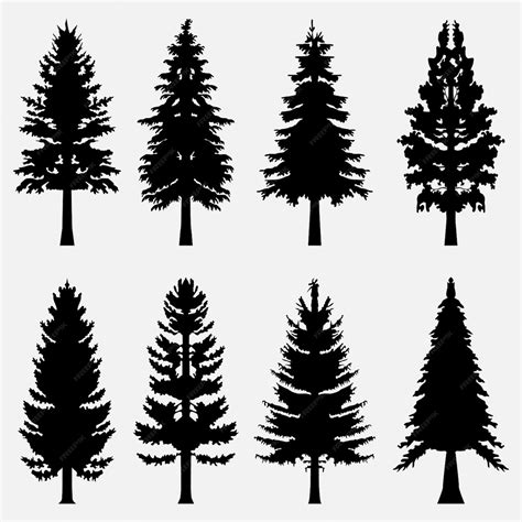 Premium Vector Pine Tree Silhouette Design Template