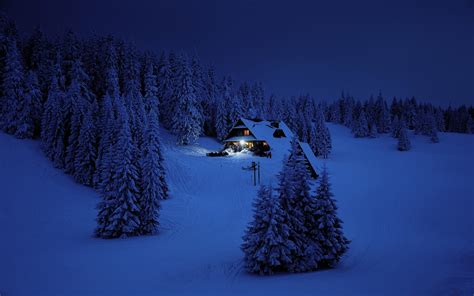 Download House Night Winter Trees Snow Layer Nature 1920x1200