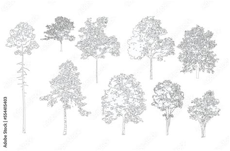 Obraz Minimal Style Cad Tree Line Drawing Side View Set Of Graphics