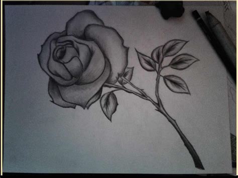Easy Pencil Shading Drawings Of Flowers ~ Pict Art