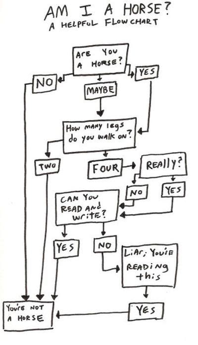 Funny Flowcharts 19 Pics