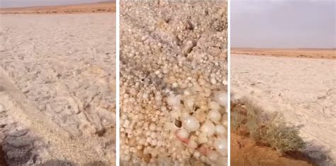 Recently a video titled 'sand river in iraq' went viral on the internet, but that's not exactly sand.today we find out what exactly is it? Footage of 'sand river' flowing through a desert in Middle ...