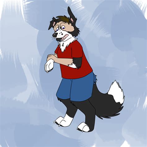 Oh Look Another Bcollie Tf — Weasyl