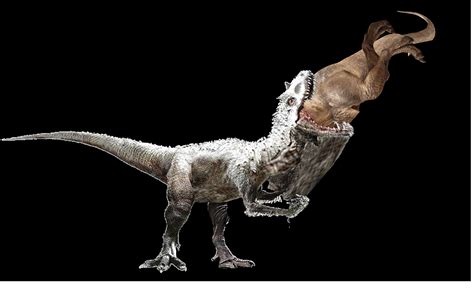 Dinosaurs Jurassic World Dominion T Rex Indominus Rex Vastatosaurus Sexiz Pix