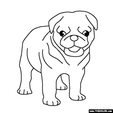 You might also be interested in coloring pages from dogs category. Dogs Online Coloring Pages | Page 2