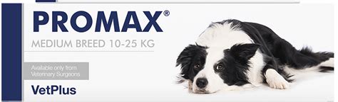 Vetplus Promax Medium Breed Dogs 10 25kg 18ml 橙 Petinhk