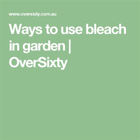 5 Ways To Use Bleach In The Garden Oversixty Garden Tool