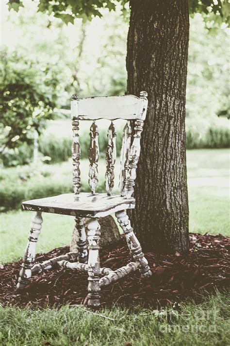 The Chair And The Tree Photograph By Chellie Bock