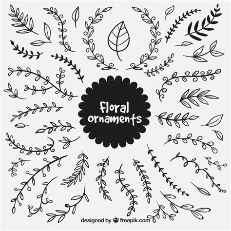 Free Vector Collection Of Hand Drawn Floral Ornament