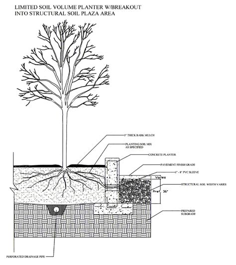 Cornell Urban Horticulture Structural Soil Details Landscape