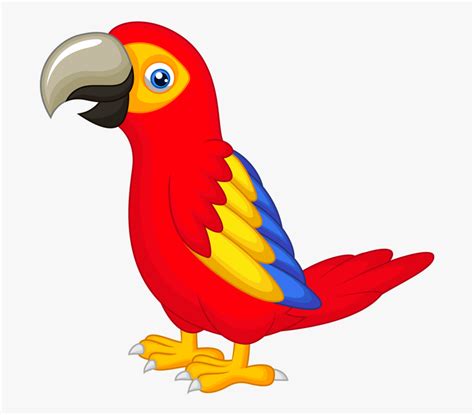 Parrot Bird Clipart Clip Art Library