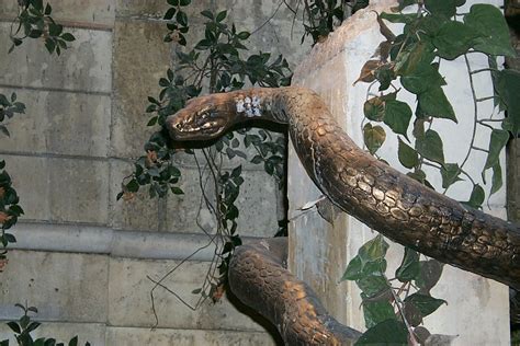 Snake Pillar