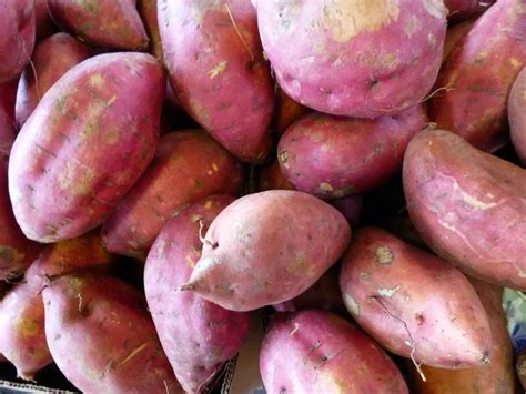 Batata é Legumes Ou Verdura