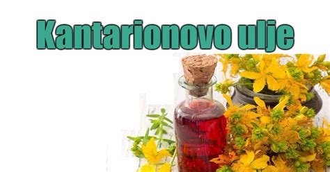 Kantarionovo ulje - upotreba za lice, kosu, kožu, gljivice ...