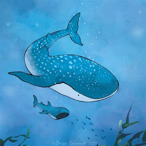 Whale Shark Art Print Baby Sea Animals Whale Nursery Art Etsy Shark