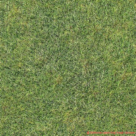 1926 Grass Textures Sketchup Model Free Download