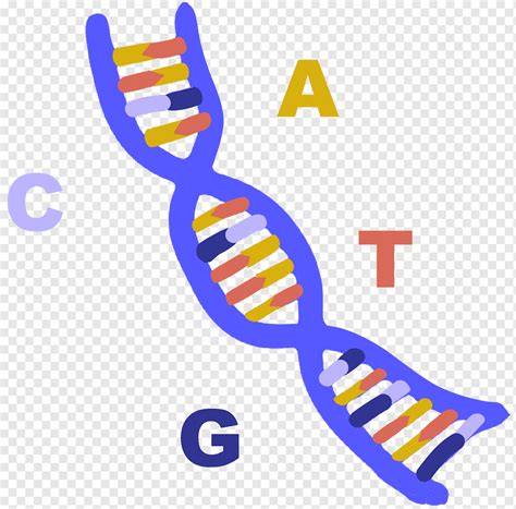 Dec 18, 2020 · 1 (mrna or messenger) and vaccine (word variations automatically searched) 151 — — exclude 15 duplicate references 136 4 0 table 8. التجارب العلمية سلم الدنا