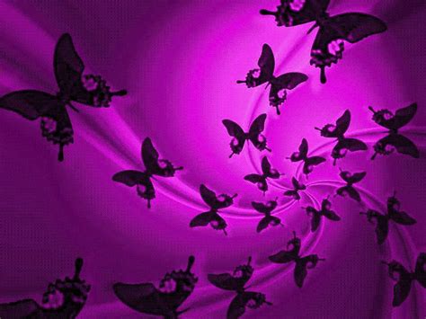 🔥 47 Pink And Purple Butterfly Wallpaper Wallpapersafari