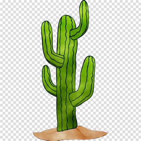 Cactus Cartoon clipart - Cactus, Green, Plant, transparent clip art png image