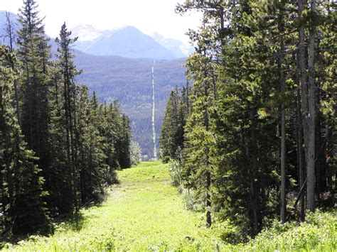 The Us Canada Border Slash Is A Geographical Border Line Come To Life