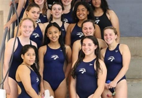 Lady Falcons Swim To Sectionals Albany High School