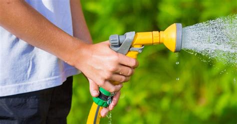 Proper Watering Techniques For Your Lawn Envirospray