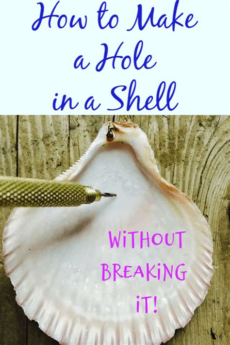 How To Drill A Hole In A Seashell Without Breaking It