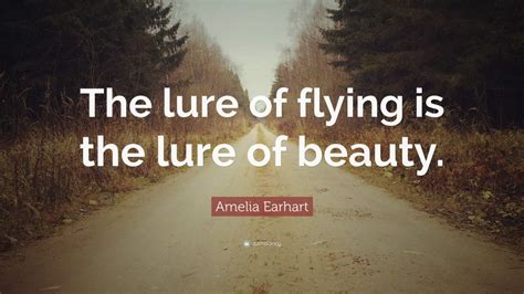 30 Flying Quotes To Inspire You On Your Journey Through Flight School