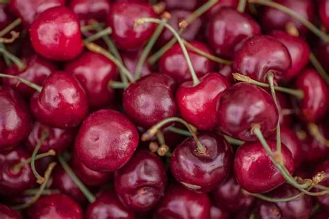 28 Different Types Of Cherries