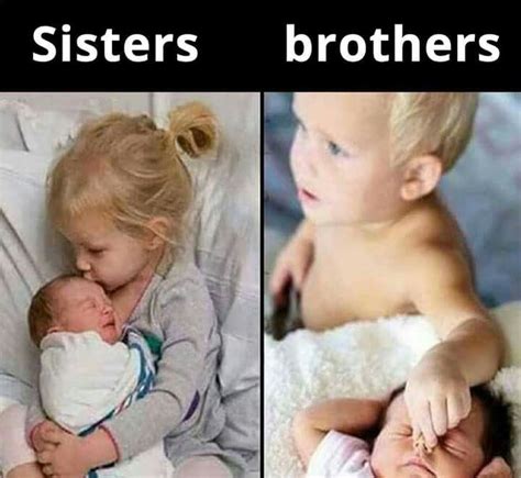 Funny Sibling Quotes Brother And Sister Shortquotes Cc