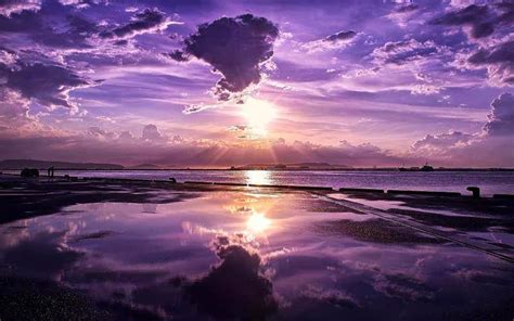 Purple Scenery Purple Is Awesome Pinterest