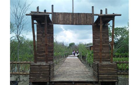 Jam Buka Dan Harga Tiket Masuk Hutan Mangrove Gunung Anyar Surabaya