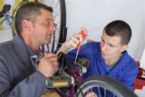 Bicycle Mechanic And Apprentice Repairing Bike In Workshop Stock Photo
