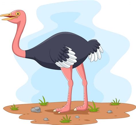 Premium Vector Cartoon Ostrich In The Field