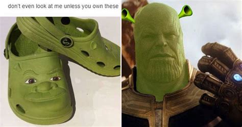 Get Shrekt 25 Hilarious Shrek Memes Only True Fans Will