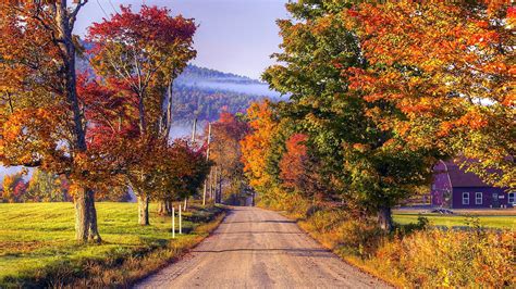 Road 1080p House Tree Deciduous Rural Area Countryside Autumn