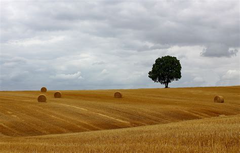 Haystack Hd Wallpapers Backgrounds