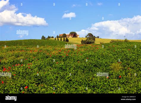 Farm House In Val Dorcia Pienza Tuscany Italy Stock Photo Alamy