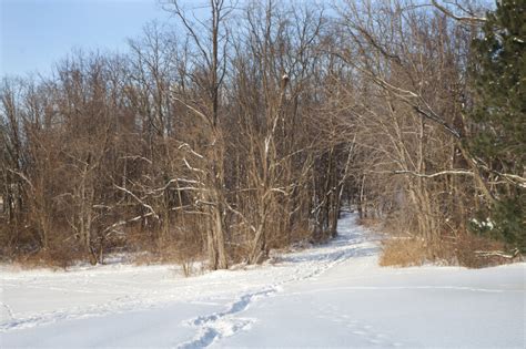 Snow Covered Path In The Park Clippix Etc Educational Photos For
