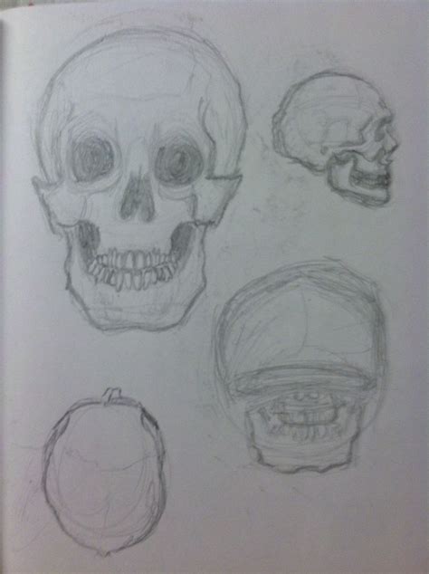 Skull Angles Sketch Book Figure Drawing Drawing Class