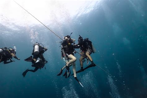 Koh Tao Padi Open Water Diving Course Learn To Dive In Thailand From Awe