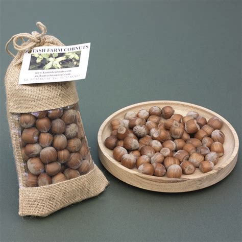 Cobnut Collection Chestnut Nut Bowl Potash Farm