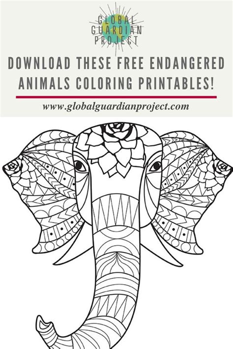 Endangered Animals Coloring Activities For Kids Endangered Animals