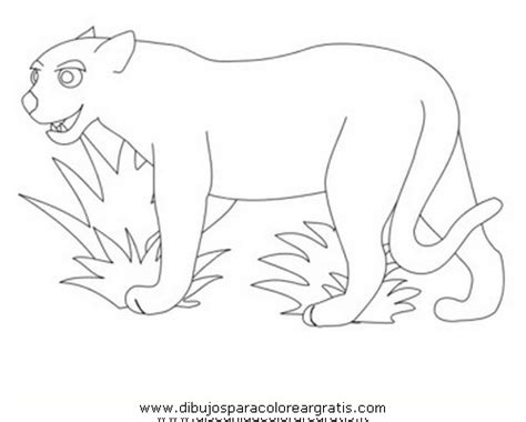 Tutorial de dibujo de un puma para niños. Dibujo puma_pumas_02 en la categoria animales diseos