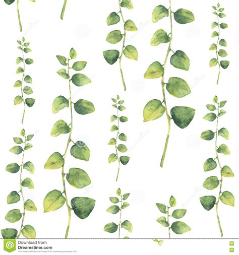 1300 x 1390 jpeg 262 кб. Watercolor Green Floral Seamless Pattern With Herbs With ...